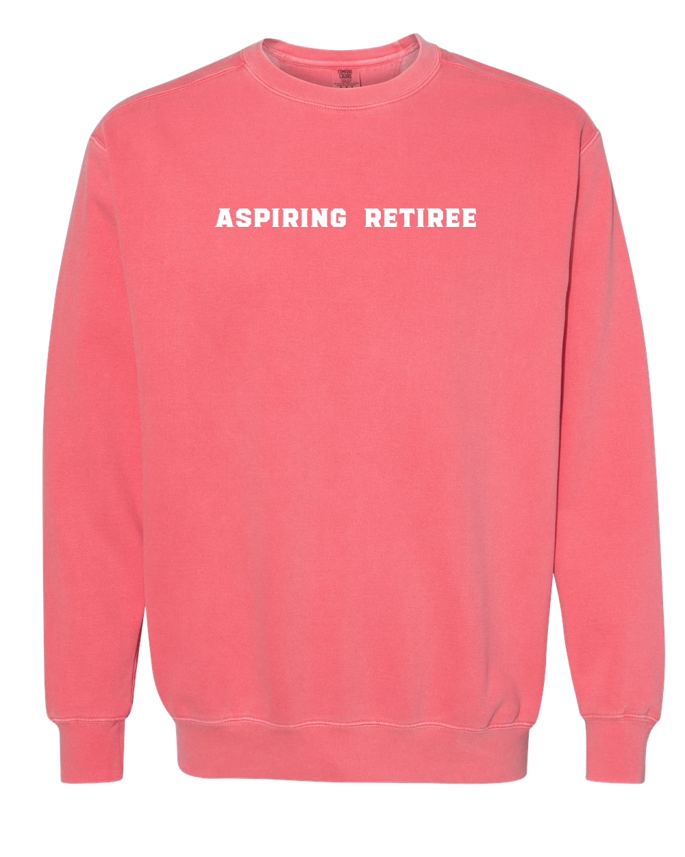 Aspiring Retiree Embroidered Crewneck Sweatshirt
