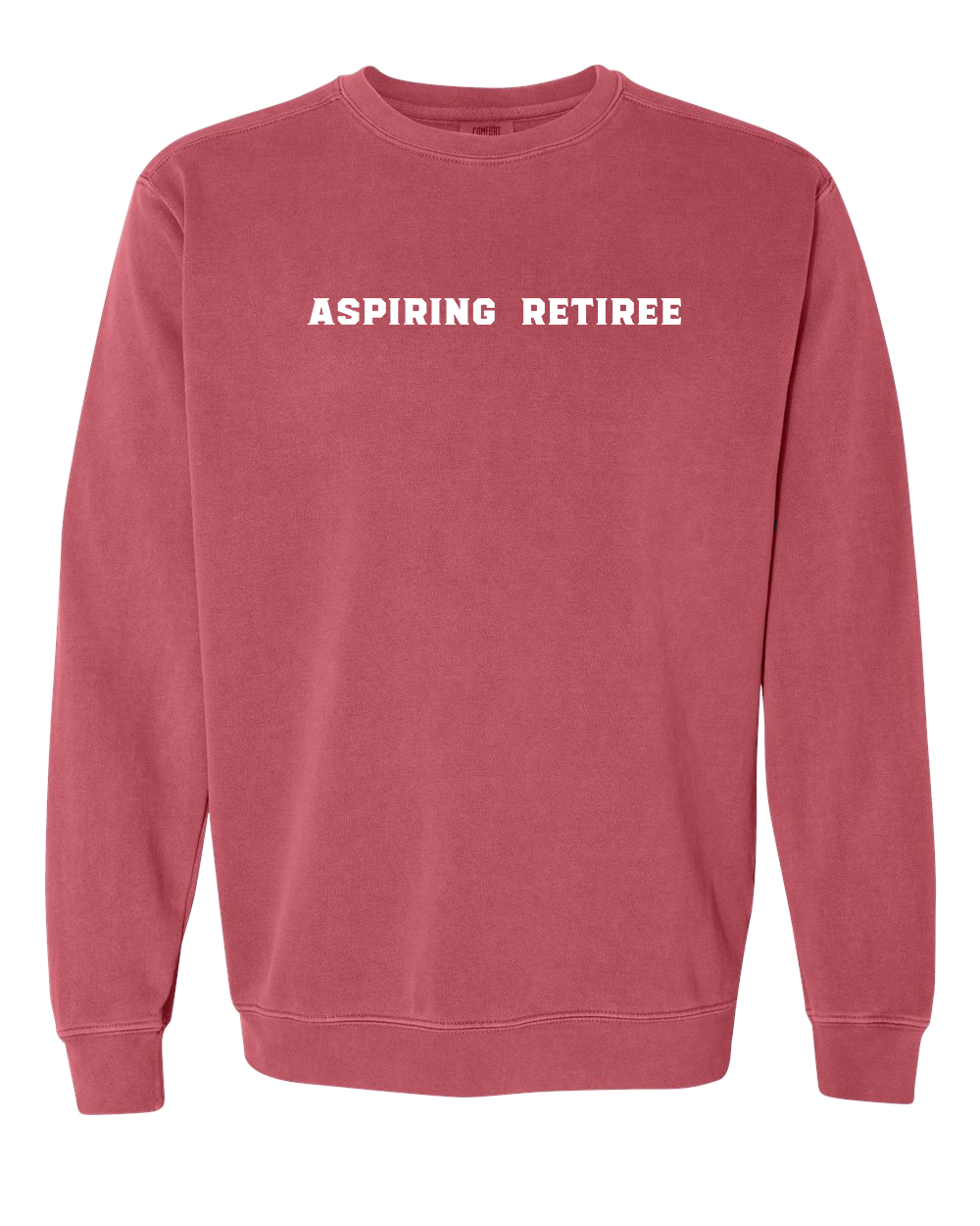 Aspiring Retiree Embroidered Crewneck Sweatshirt