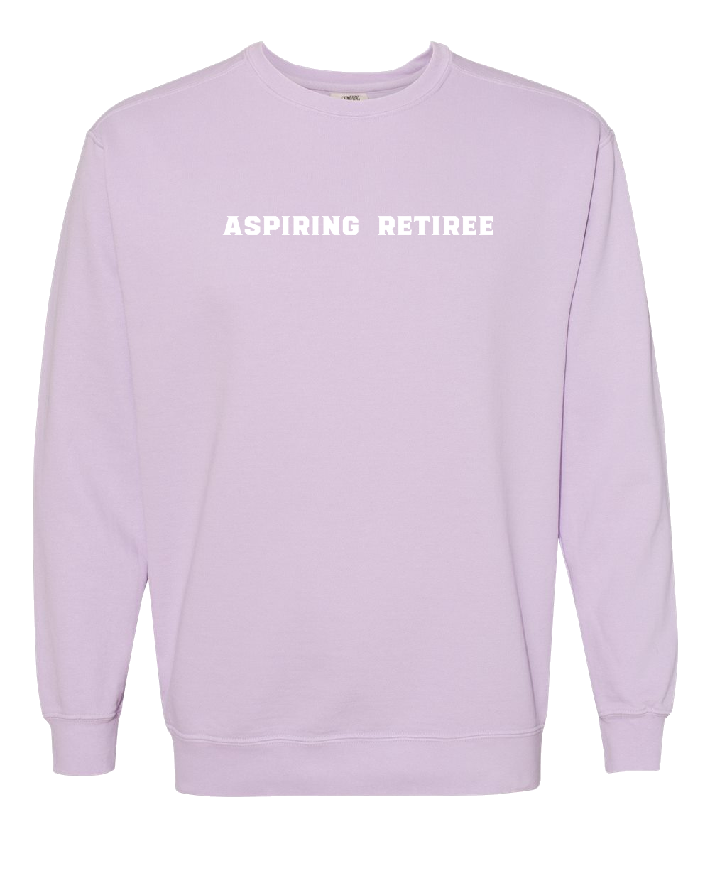 Aspiring Retiree Embroidered Crewneck Sweatshirt