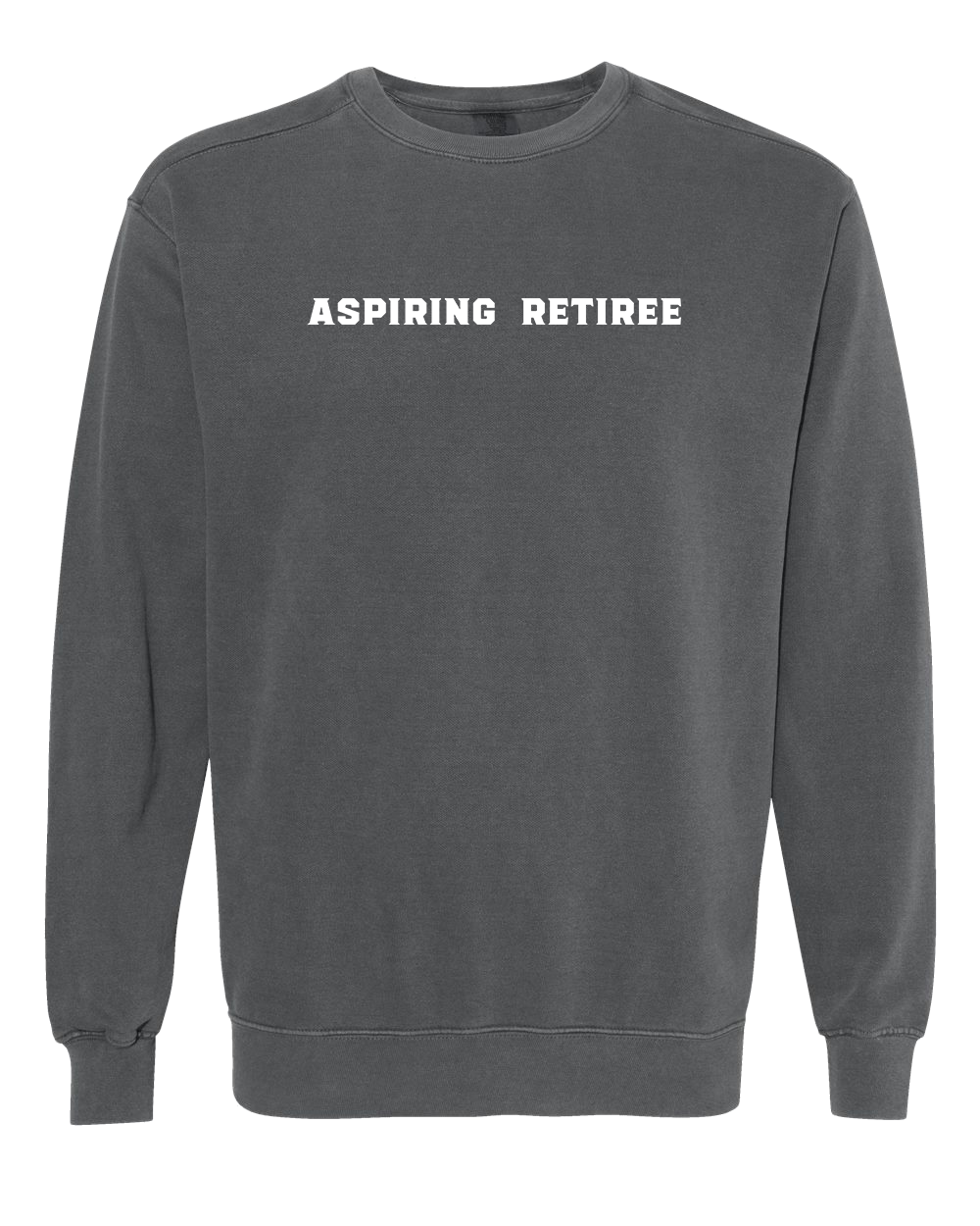Aspiring Retiree Embroidered Crewneck Sweatshirt