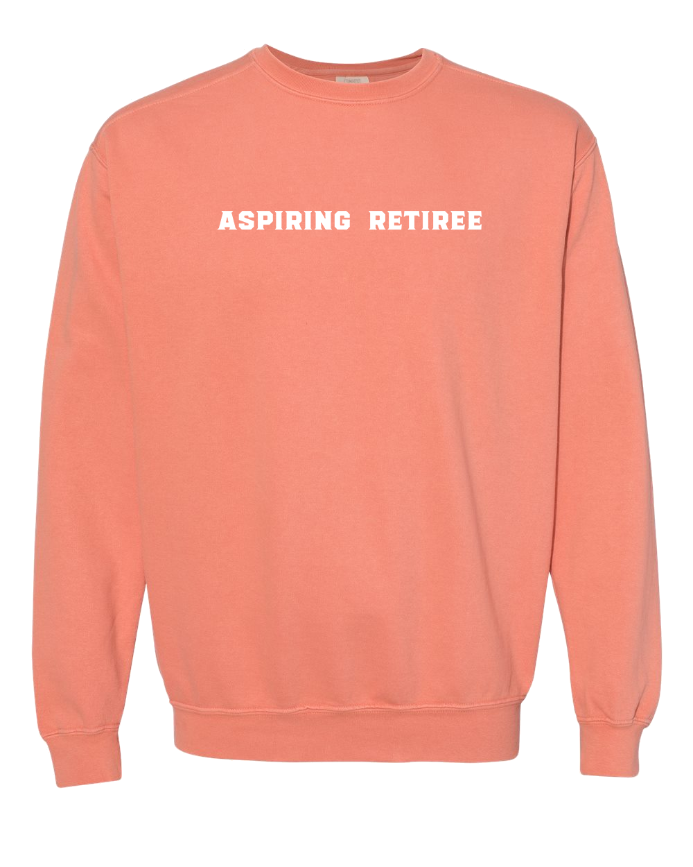 Aspiring Retiree Embroidered Crewneck Sweatshirt