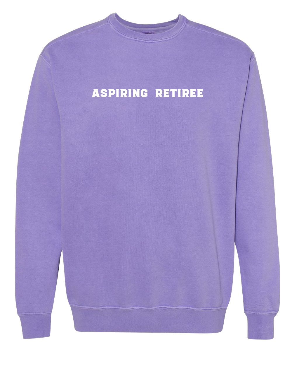 Aspiring Retiree Embroidered Crewneck Sweatshirt